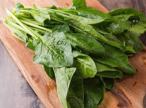 蔬菜品種：菠菜