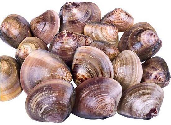 鮮活水產品：生河蜆