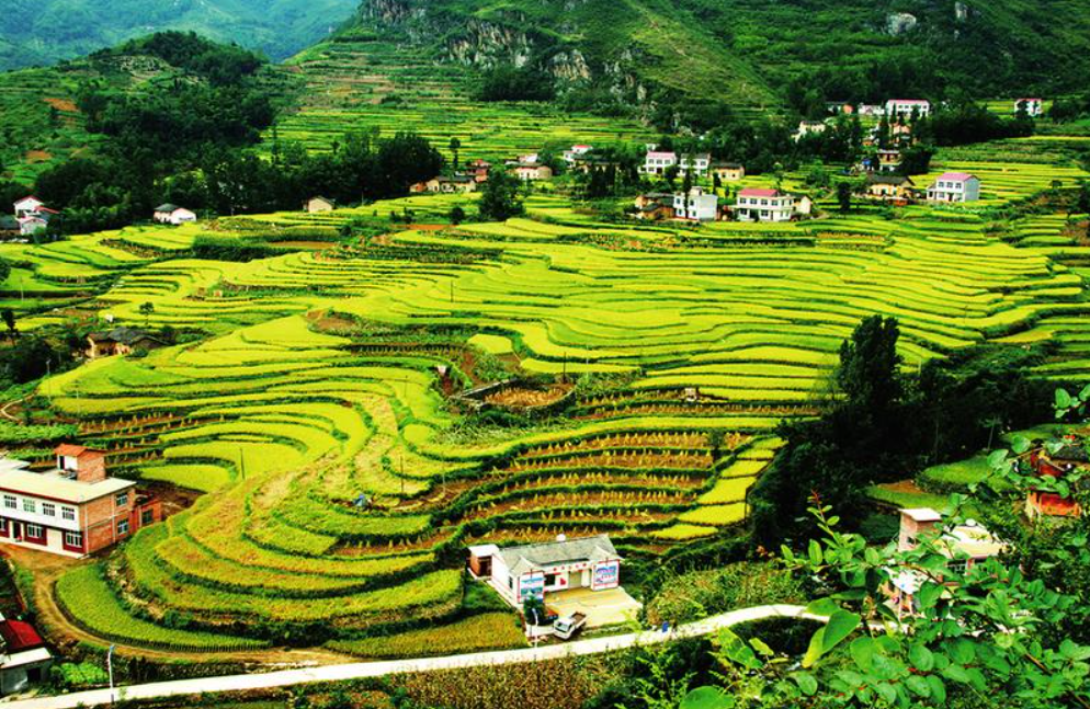 惠州蔬菜配送中心分享報(bào)道：陜西為改善農(nóng)村人居環(huán)境持續(xù)發(fā)力