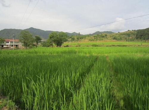 1760175568.jpg tupian_jiaobai3.jpg