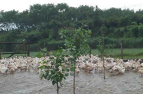 1760178084.jpg tupian_shuiya.jpg