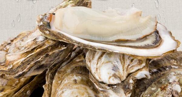 鮮活水產品“牡蠣”配送后的常見問題