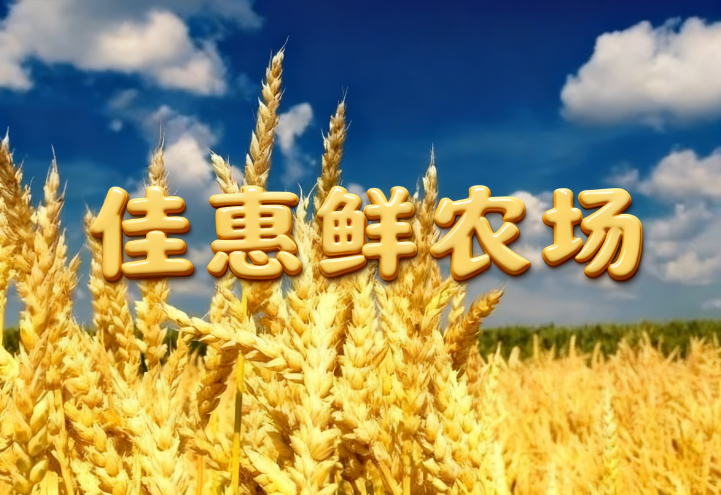 1763371005.png 5731BC6E10364AA06AEC399BA908757A.png