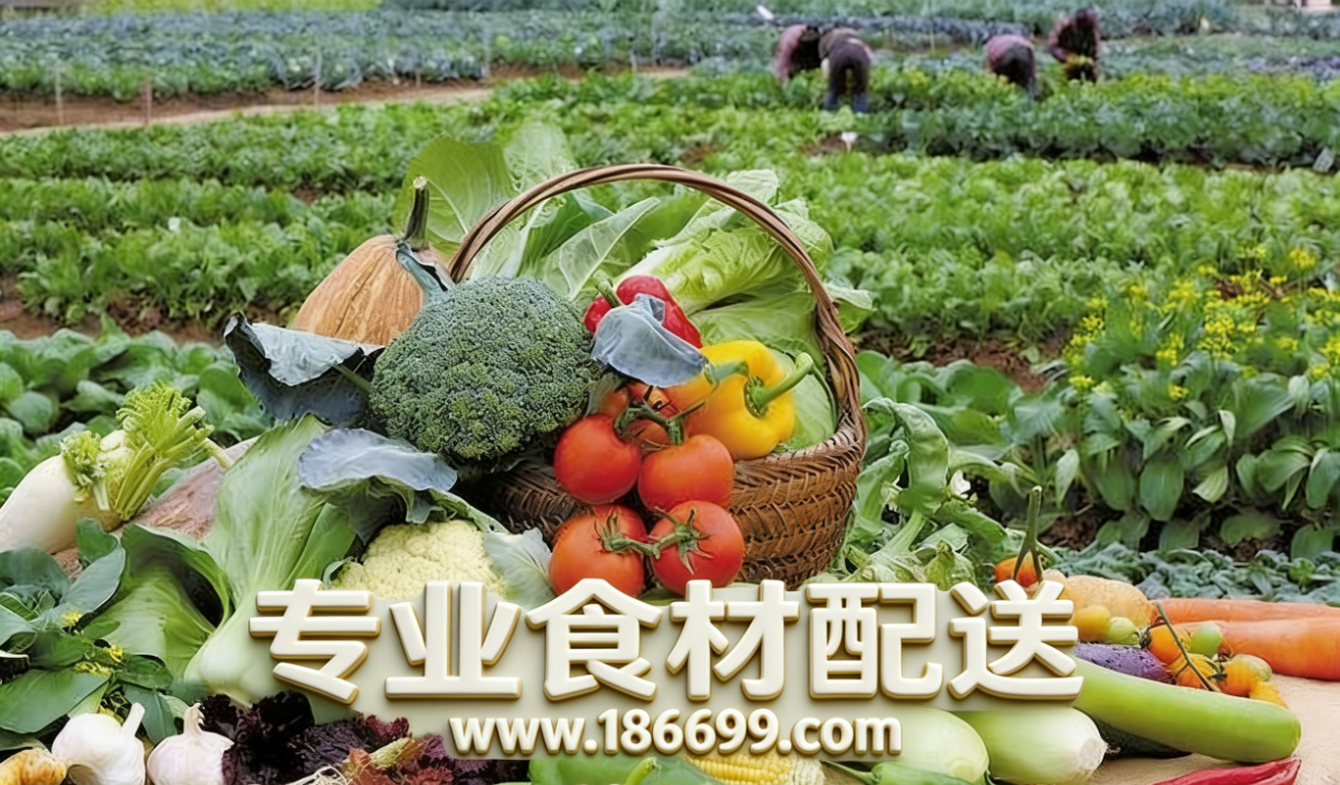 惠州食材供應鏈為您普及:冬季夏季的蔬菜營養有什么差別?