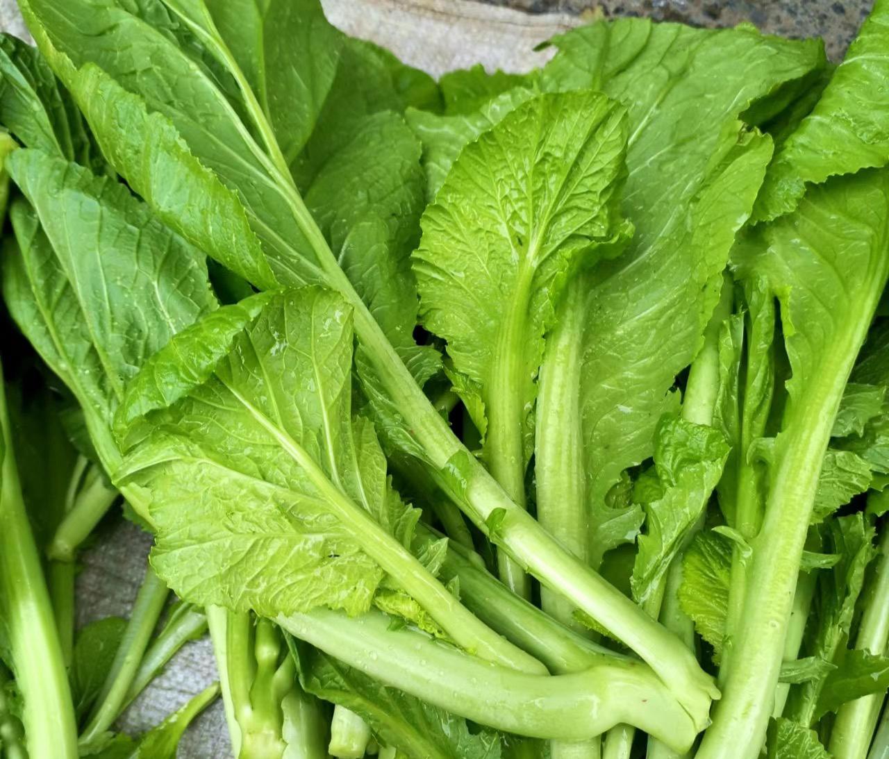 深圳蔬菜配送公司科普：為什么冷凍蔬菜不宜反復解凍冷凍？