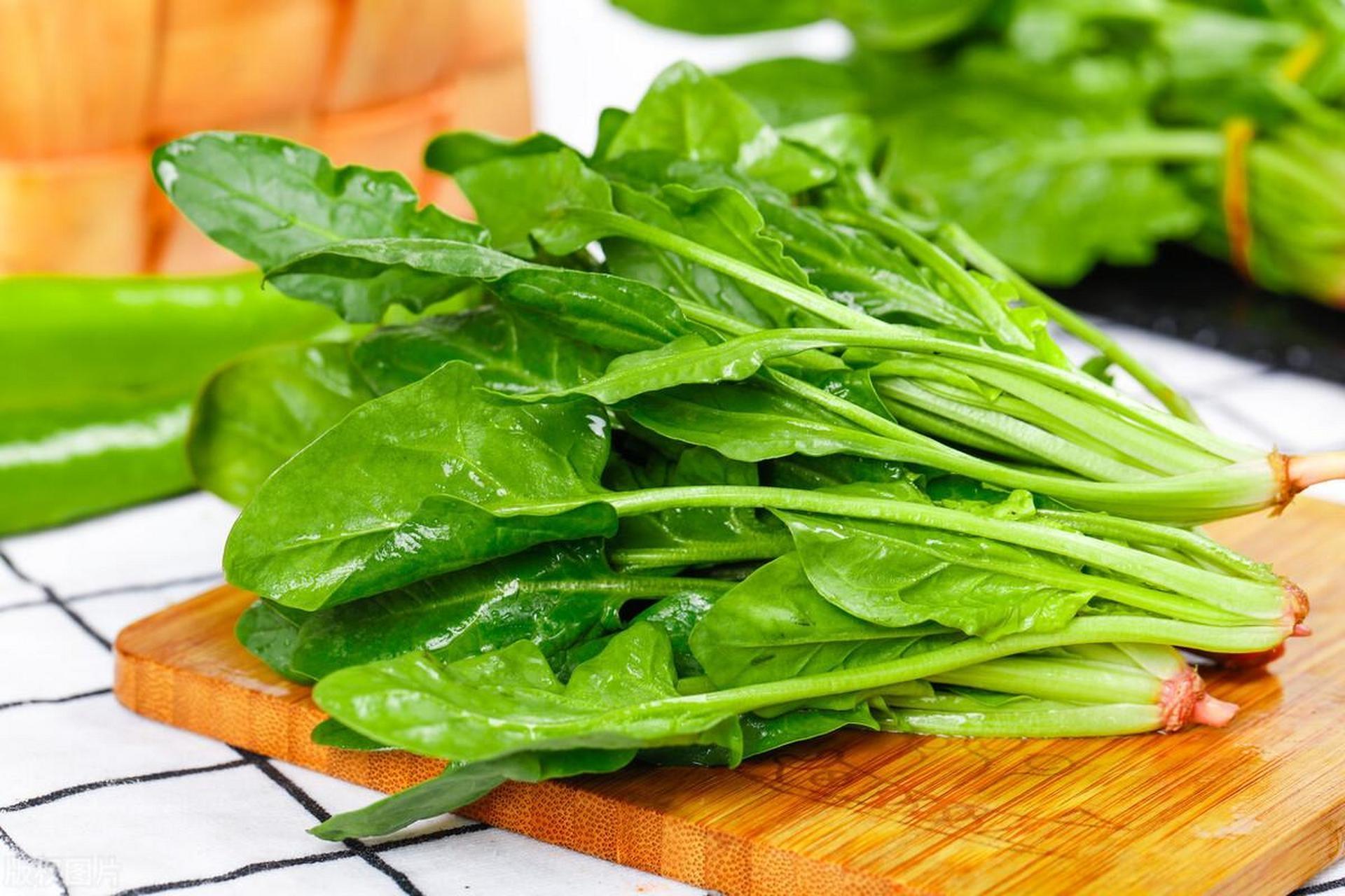 東莞食材生鮮配送中心為您科普菠菜的營養功能價值