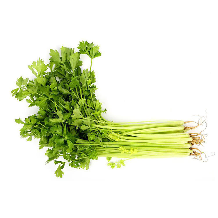 香芹.jpg